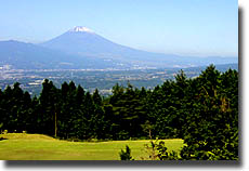 別荘地から見た富士山